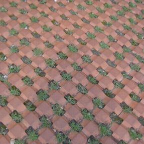 植草井字磚模具施工案例 植草井字磚模具施工案例